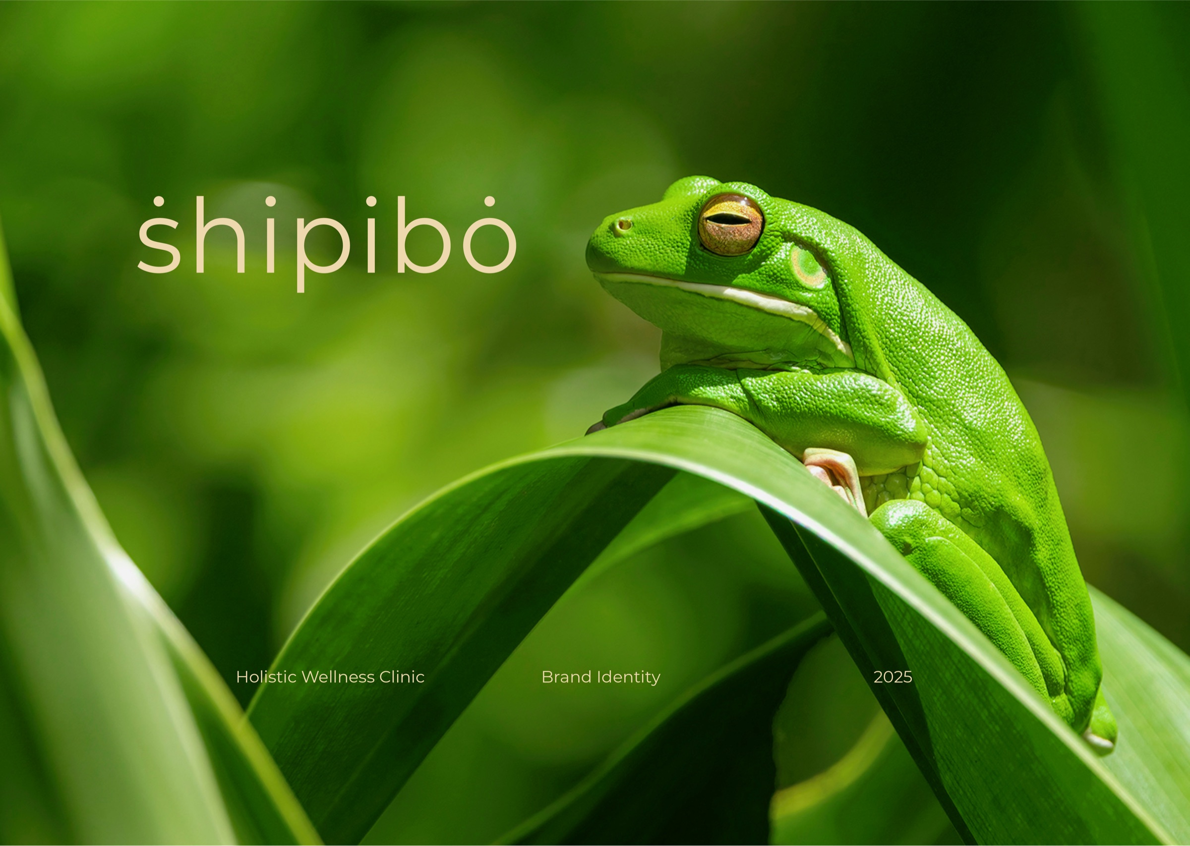 Shipibo — brand hero with the wordmark over an Amazonian tree frog